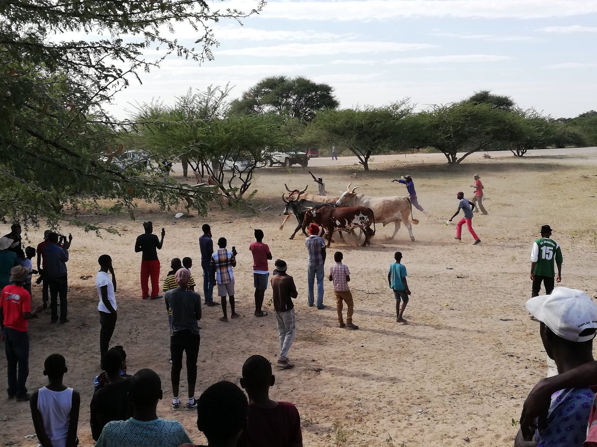 Iyal222's tweet photo. I don't even know what's going on
#omaludi #okongo https://t.co/BUAwa5PZvz