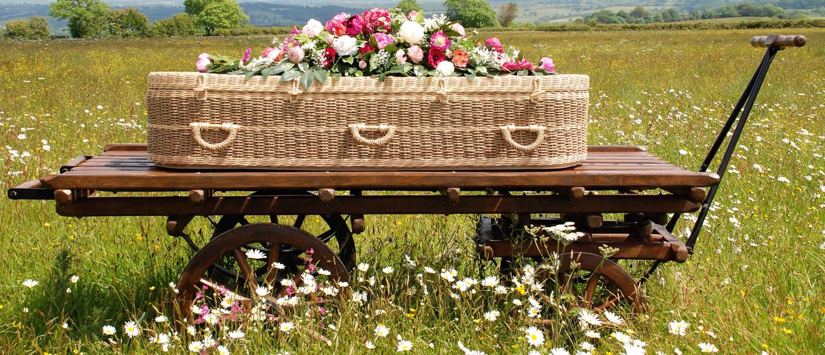 We guarantee that we do not use screws, staples or nails in our products so they are 100% biodegradable and suitable for green burial, and because of their woven construction they also use less gas to cremate #eco #coffin #green #biodegradable #ecofuneral