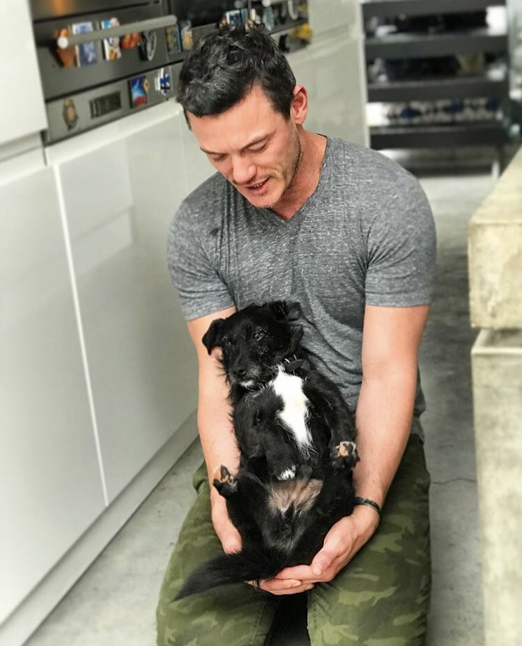 From Luke’s post on IG : Missing my pal Huxley today. Happy Friday people! #dogsofinstagrams #friday #fridaymood  
instagram.com/p/Bx2JhNRHsWM/… #lukeevans