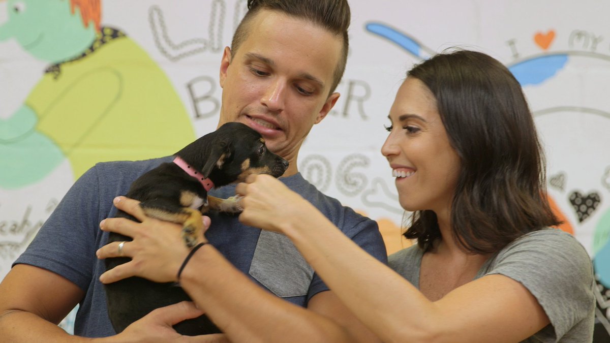 TurfMutt's tweet photo. Tomorrow on @ReadySetPet - newlyweds Tiffani and Carl are adopting their first dog as a couple. @OPEInstitute's Kris Kiser stops by to find out if they can find a great environment and offer pointers. #LivingLandscapes #ReadySetPet @CWMagnificent https://t.co/xK3ufWlhAR