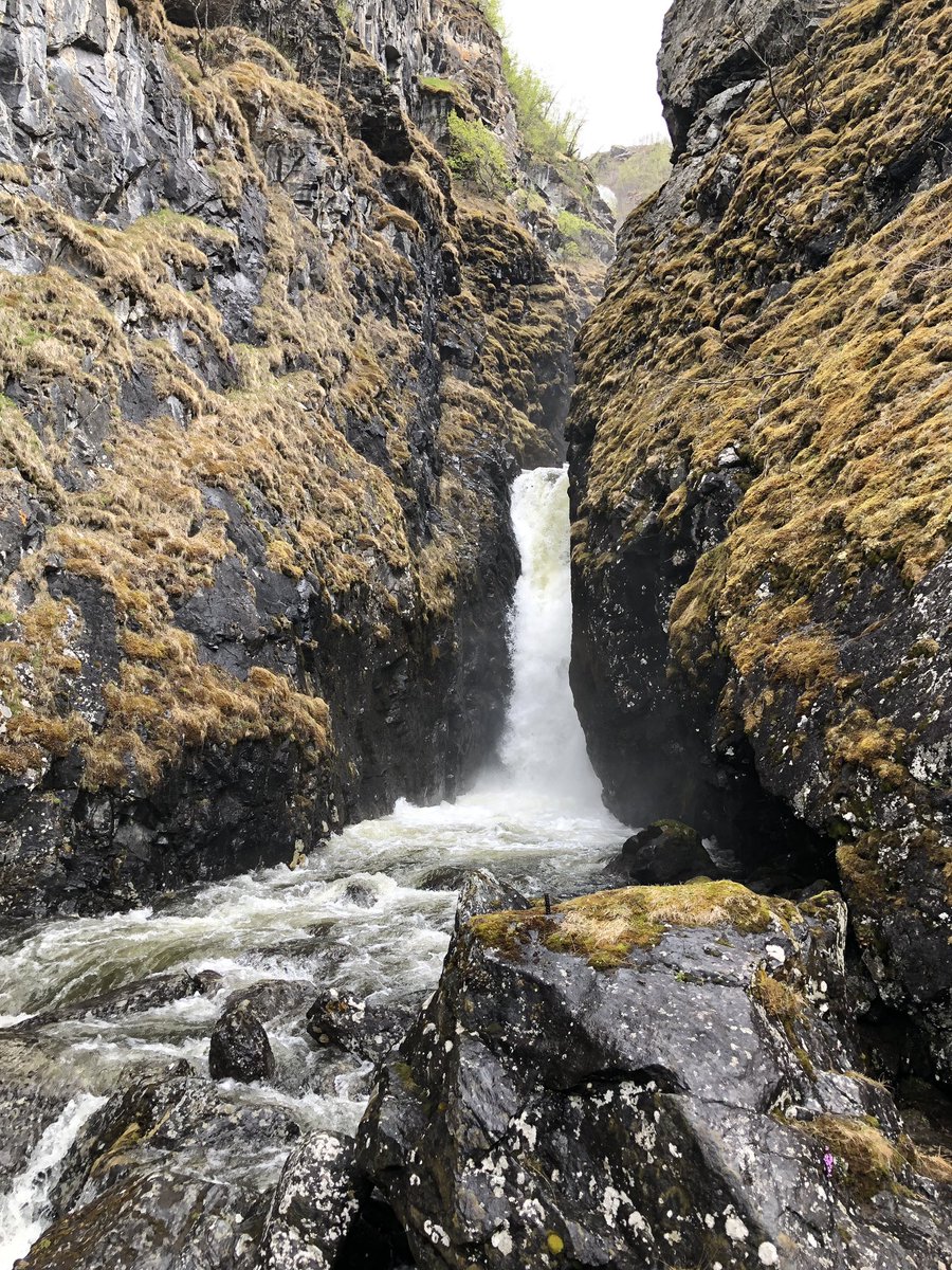 Elektroflitzer's tweet image. Auf dem Weg von #Oppdal zum #KongsvoldFjeldstue im #DovrefjellSundalsfjellaNasionalark  #AMPventure2019