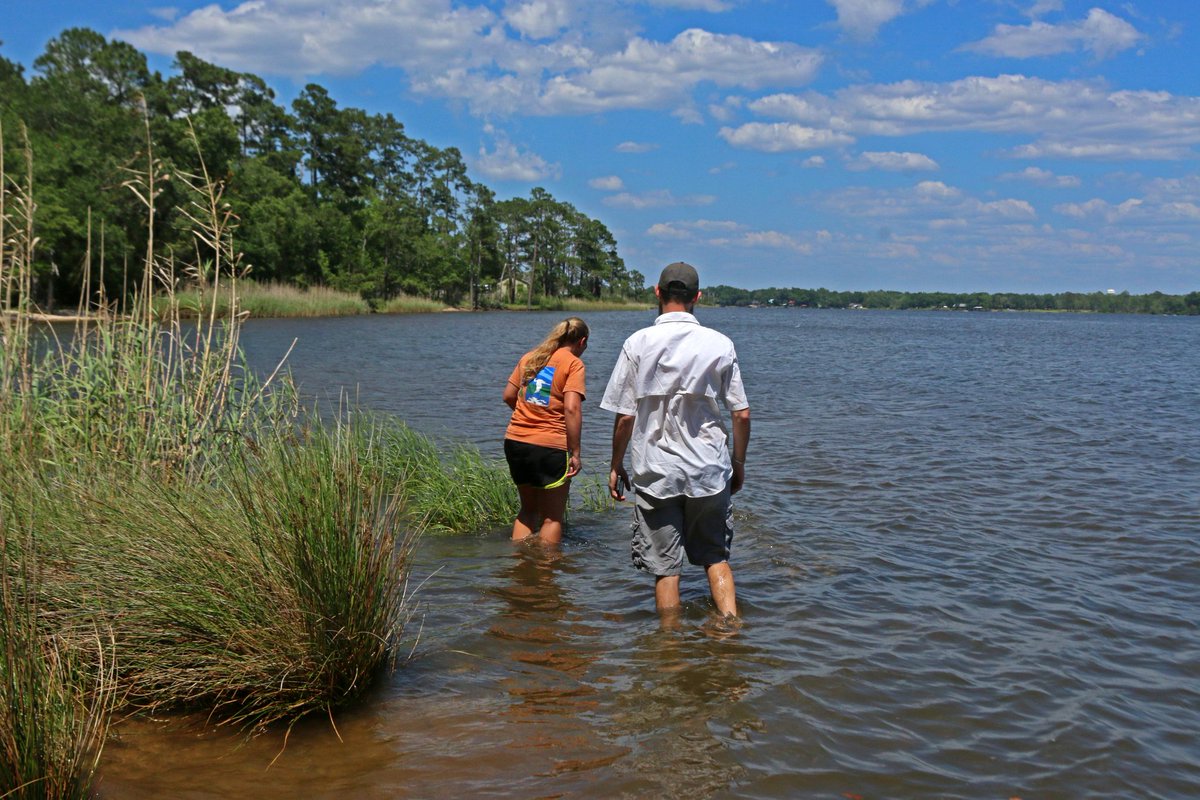 Across the Gulf, nonprofits are working to restore  coastal ecosystems. One of our friends from Texas - Michael Niebuhr, Habitat Restoration Coordinator for the <a href="/GBayFoundation/">Galveston Bay Foundation</a> - visited CBA yesterday to help with shell pickup and check out our #livingshorelines!   #florida