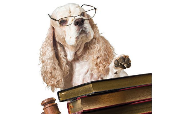 When It Comes to the Law, One Word Can Make a Big Difference bit.ly/2US1UYJ