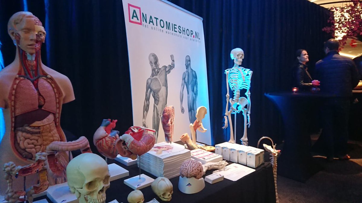 Veel gegadigden voor anatomisch model #congress2019 #NVO #anatomic #Utrecht