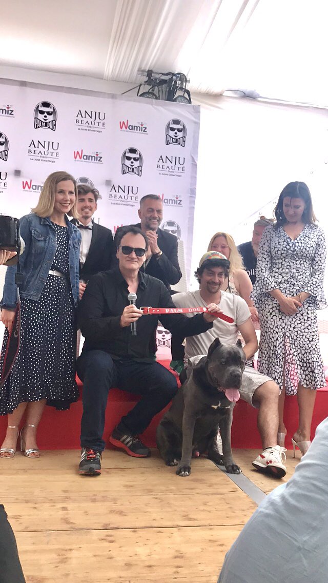 weareforfilms's tweet photo. Tarantino + dogs = cinephile heaven. #Cannes #PalmDog https://t.co/olqxlS27M0