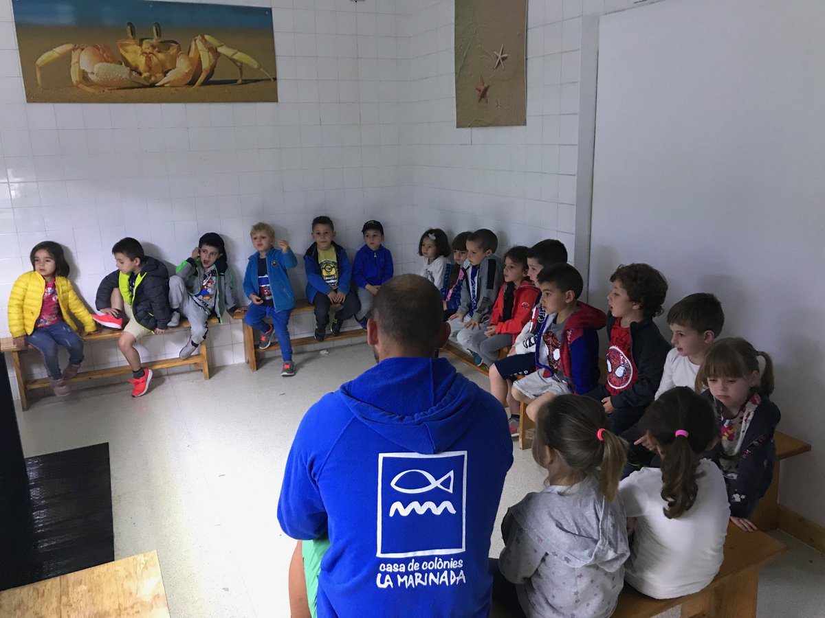 e_puigcerver's tweet photo. Avui plou, però els Timbals (P4) seguim amb les activitats que teníem programades!

#infantil #cambrils #pluja #excursio #colonies #primavera #escolacatalana #sortidaescolar https://t.co/8bJeYoR3Gf