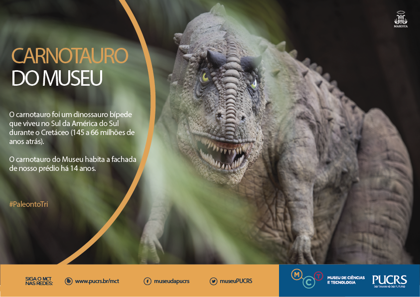 MuseuPUCRS's tweet photo. #PaleontoTri #AíVemNovidade https://t.co/1ICFHIbjOj