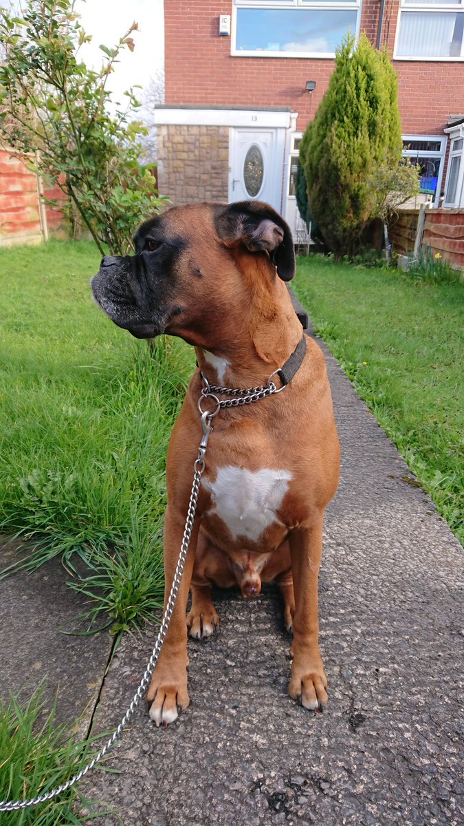 Jason edge tweet media