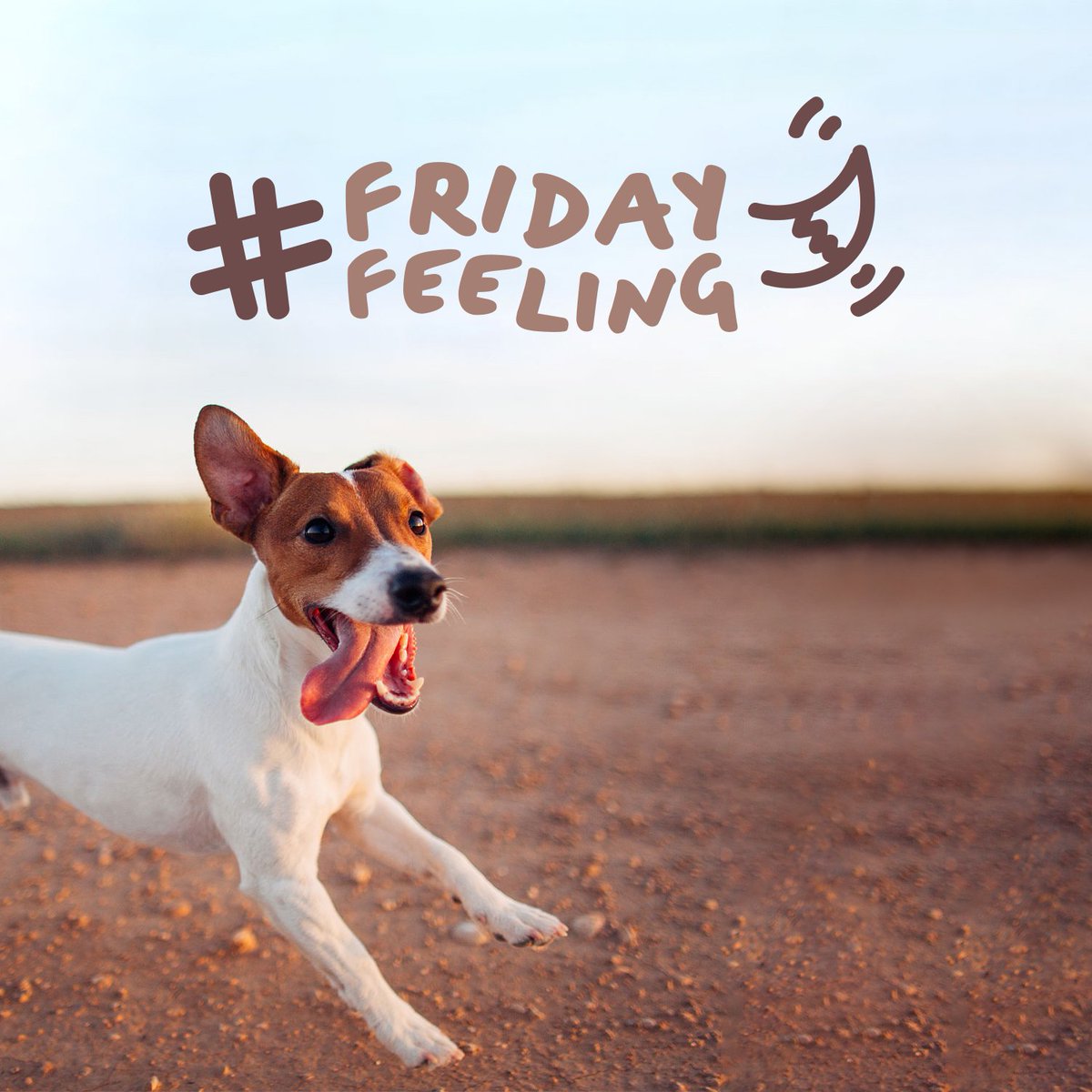 Whats better then a #FridayFeeling? It has to be the Friday of a Bank Holiday Weekend...