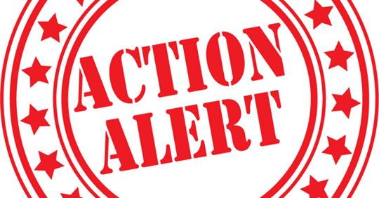 ACTION ALERT - We are in the closing weeks of the General Assembly and legislation to finally give North Carolina consumers the choice + convenience of 7-day spirits sales is still pending. CALL <a href="/NCHouseSpeaker/">NC House Press</a> Tim Moore today and tell him to #BootTheBan! 919-733-3451