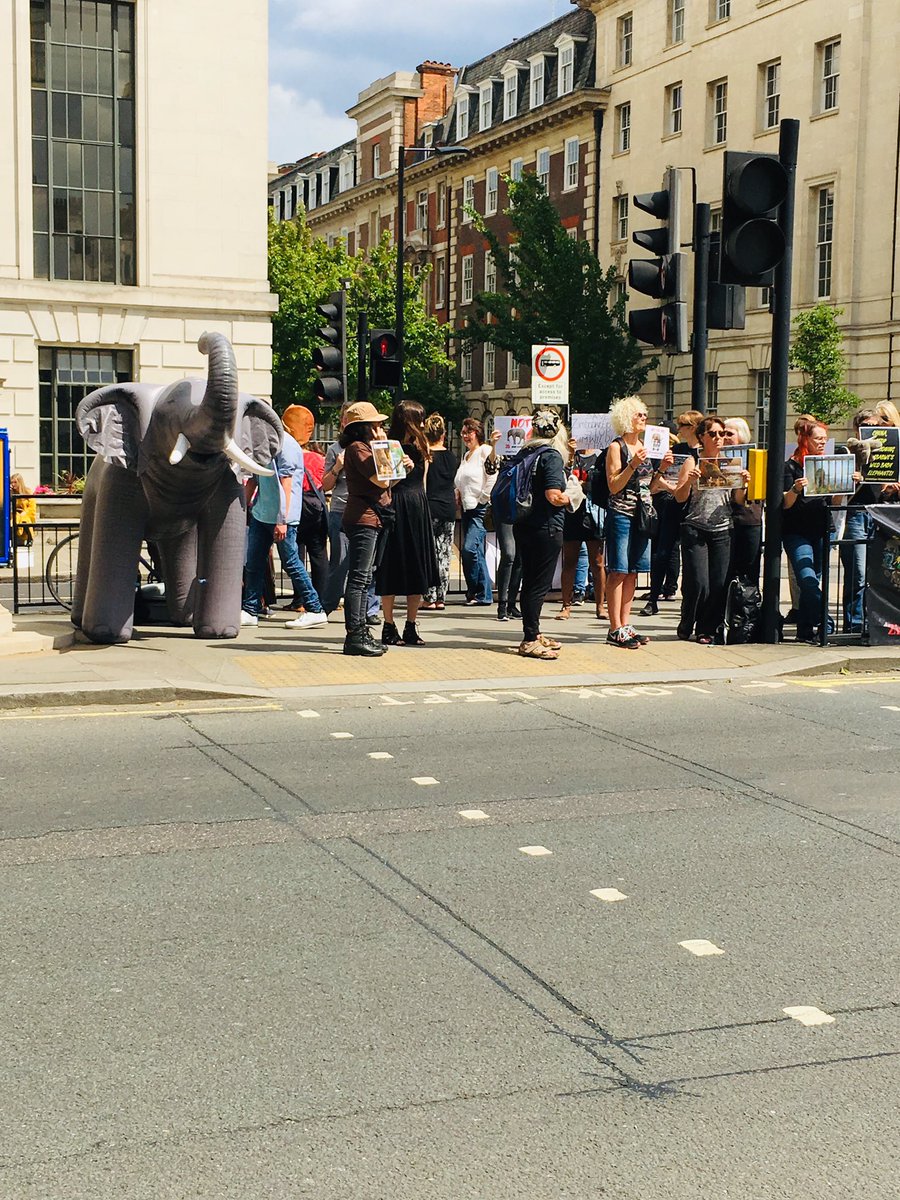 Nenagh9's tweet photo. .@SkyNewsBreak  .@BBCBreaking happening now outside Chinese embassy. W1 
#StopZimbabwe https://t.co/DQLHCGzR8p