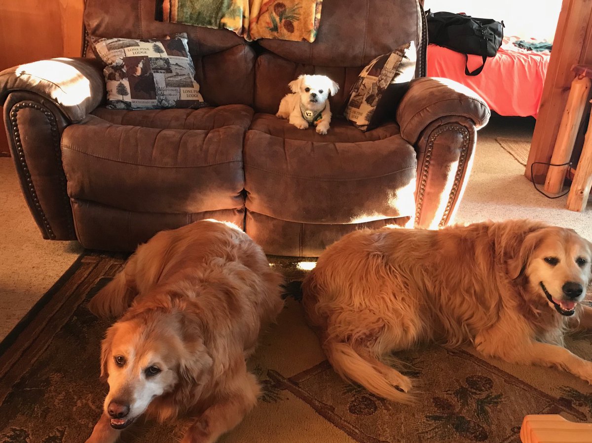 RebeccaLynnSha4's tweet photo. On Way To Da Cottage..Gotz A Tad Antzy & Sat On Riley. We Made It Tho .. Have A Happy & Safe Memorial Day Weekend Frenz #LoongCarTrip #OutOfRoom #FinallyHere #HappyMemorialDayWeekend https://t.co/Ag5I7Dl3QI