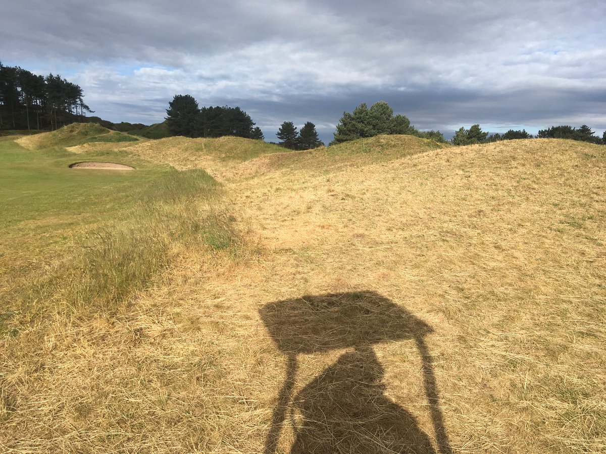 Hillside_Greens's tweet photo. One thing hosting 65000 people on the course in 4 days is the trampled down rough. Areas that we would struggle to get near have been well and truly flattened. Last autumns flail collecting has already thinned the roughs out in the usual hot spots @WiedenmannUK 👍🏻 https://t.co/YiGRhP1ruj
