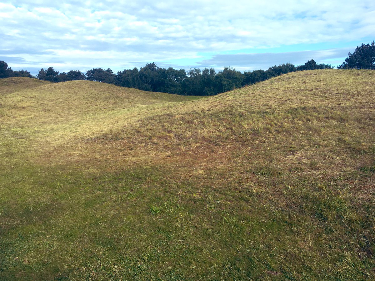 Hillside_Greens's tweet photo. One thing hosting 65000 people on the course in 4 days is the trampled down rough. Areas that we would struggle to get near have been well and truly flattened. Last autumns flail collecting has already thinned the roughs out in the usual hot spots @WiedenmannUK 👍🏻 https://t.co/YiGRhP1ruj