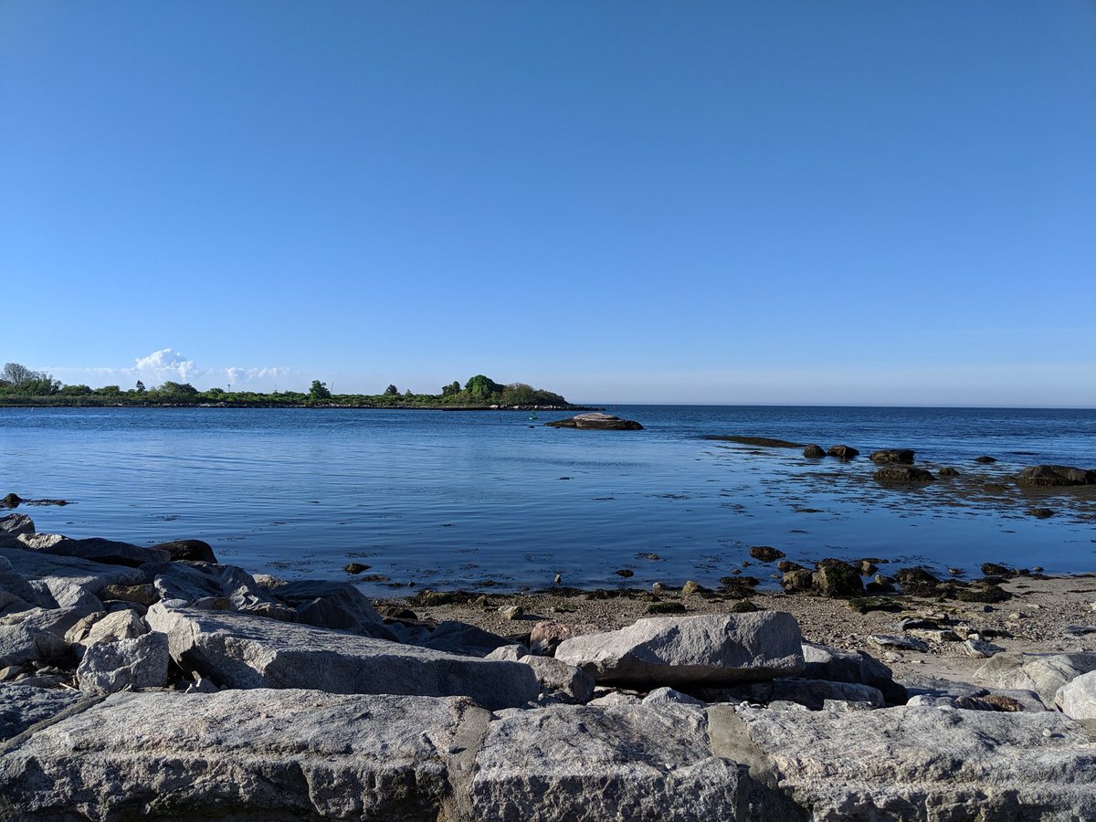 @ConnCollege STEM summer research institute is in full swing! Students out doing some #fieldwork for an eelgrass restoration pilot study. A chilly, but fun day in the water. HT to Science Leaders program & @Proj_Oceanology for making this happen #TeachLocal