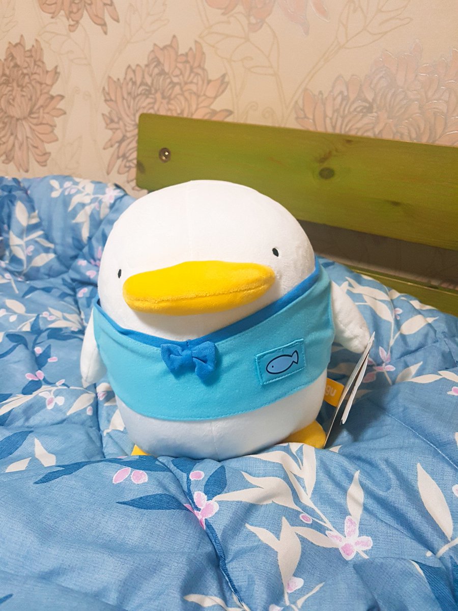 오늘 오구 팝업스토어에서 산 오구인형ㅠㅠ!! 맹해보이고 너무 귀엽다