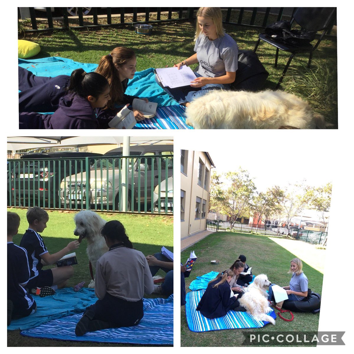Ant_2_Net's tweet photo. Reading to our favourite dog, whilst he listens to our intonation. https://t.co/PrQOyrrNED