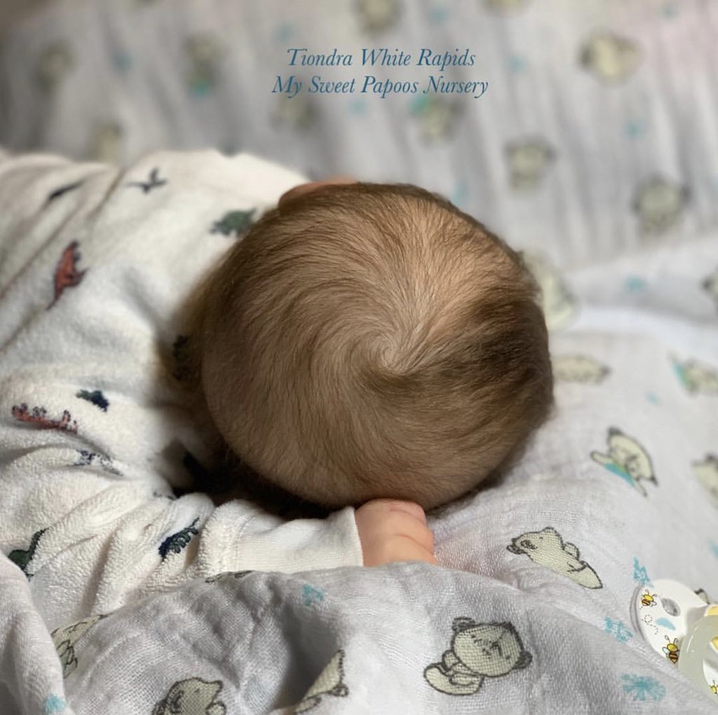 my sweet papoos reborn nursery