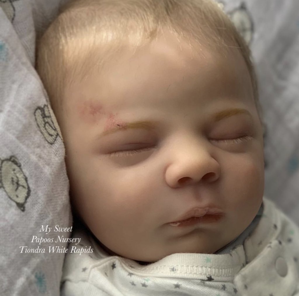 my sweet reborn baby nursery