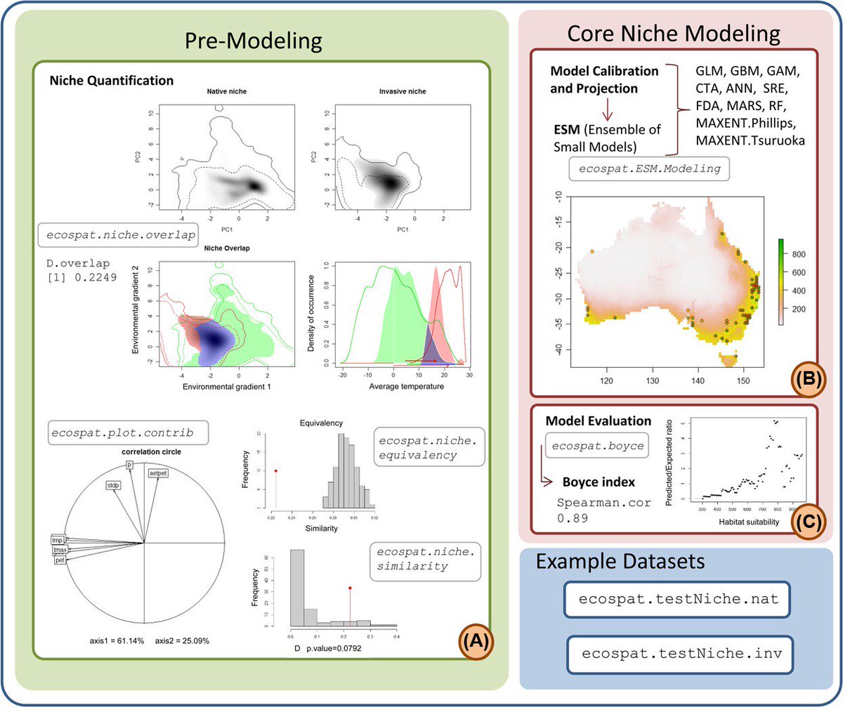 ecospat: an R package to support spatial analyses &amp; modeling of species niches &amp; distributions onlinelibrary.wiley.com/doi/10.1111/ec… #rstats <a href="/StatsForBios/">Stats for bios</a> <a href="/simplystats/">Simply Statistics</a> <a href="/NordicOikos/">Nordic Society Oikos</a>