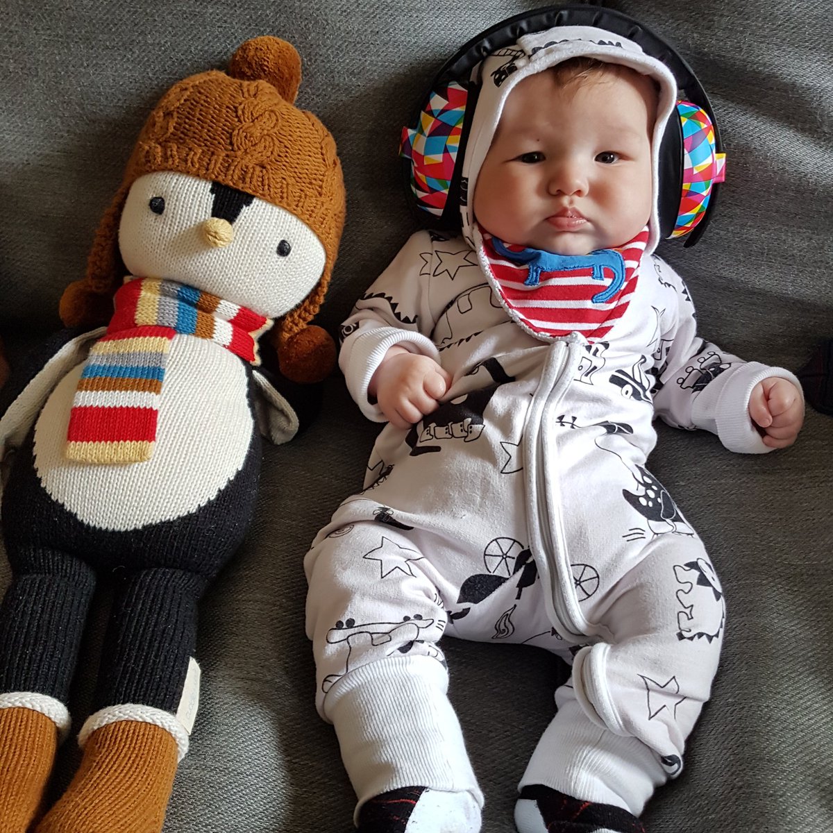 Concrete Disco tweet media