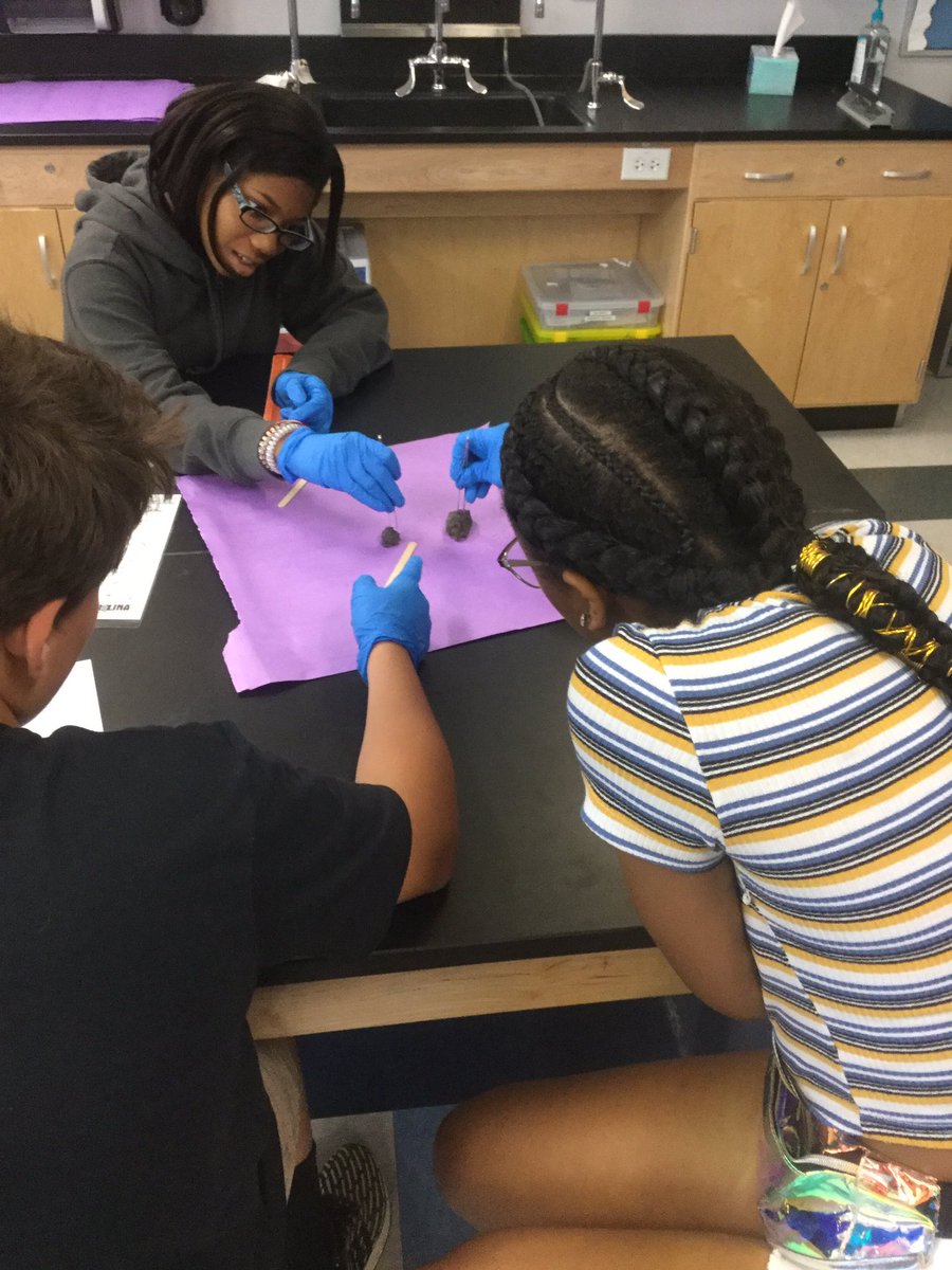 GraceSanns's tweet photo. One of my favorite days is here! Owl Pellet Dissections! Student reactions are always hilarious. @GTMSTitans @IWCSchools https://t.co/Tfnvr8Uygg