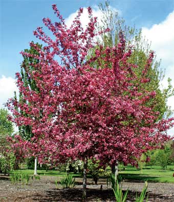 The Barn Nursery On Twitter There Is So Much To Say About The