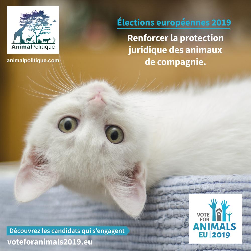 AnimalPolitique tweet media
