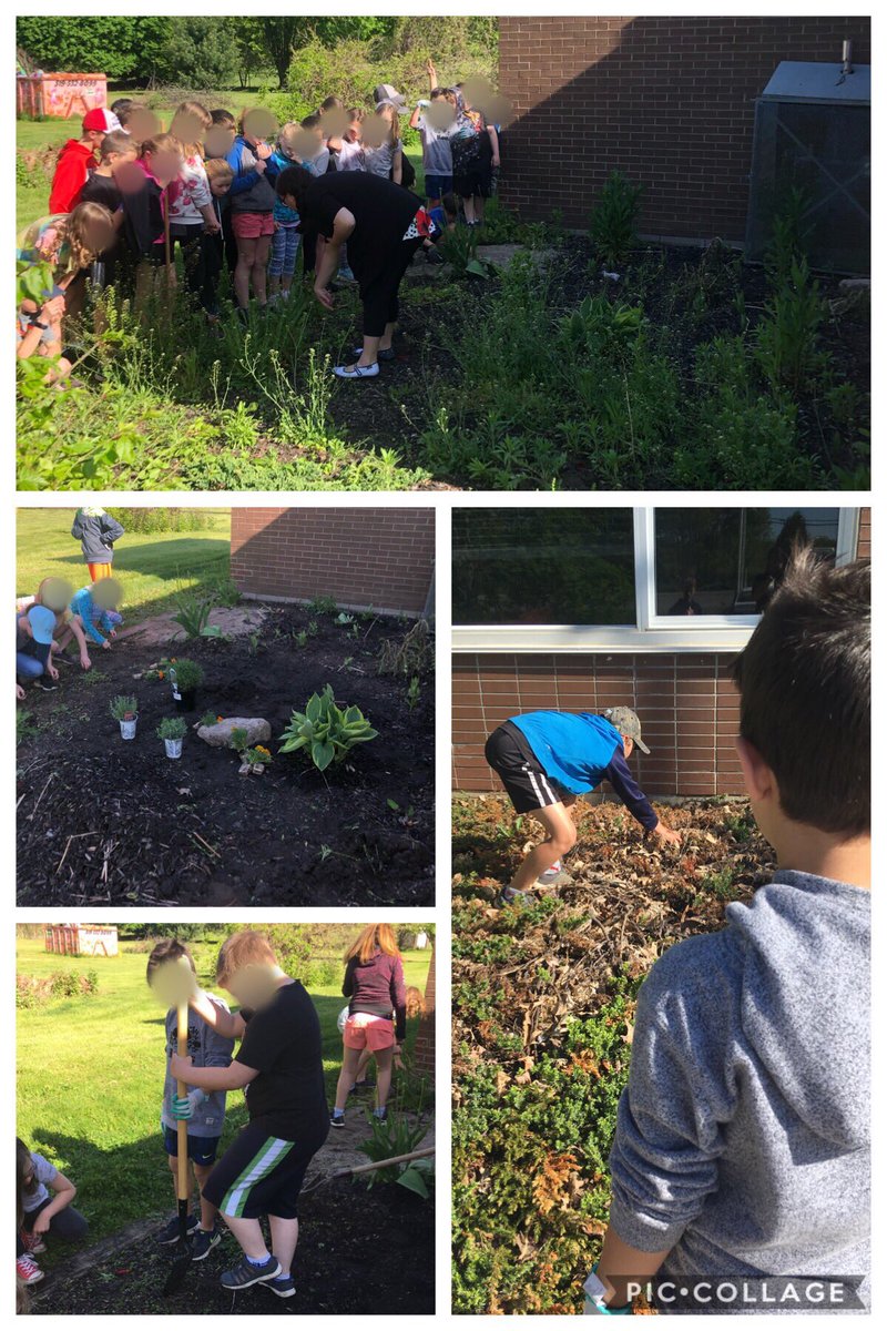 MillerBruyns's tweet photo. @NorthdaleCntrl Grade 4 School and Butterfly Eco-Stewards. We planted based on our research: Bee balm, Aster, Merigold, Lavender, Thistle, Cone Flower, wildflower seeds, and Milkweed #millerbruyns #knightsnc #tvdsb @TVDSBGlobal https://t.co/igV365mVmn