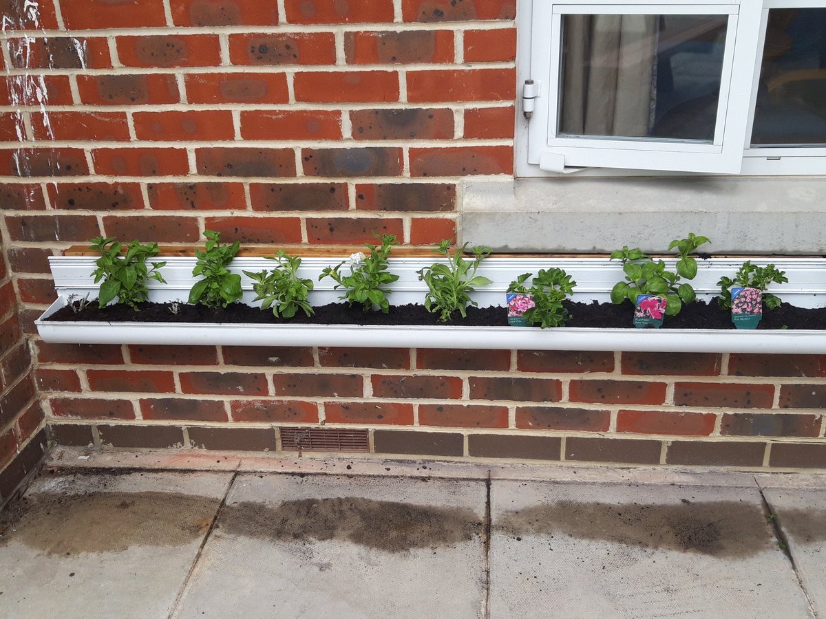 ExercisingOt's tweet photo. SRS have recycled an old awning to make wheelchair accessible flower troughs. Another great gardening group session. @craigoHPFT @fionaottaylor @HPFT_NHS @LauraRuth95 @CatMurphySLT @jessdrayton @johnfanning1 @SallyJudges https://t.co/iKgPYX4mO9