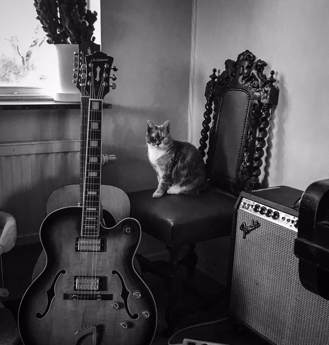 New music! Check out the brand new double A side single from my current #Reggae project open.spotify.com/album/4gw8B7CX…