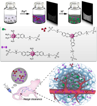 ChemEurJ's tweet photo. A #zwitterionic #ironcomplex that can dissociate rapidly in weakly acidic environment was shown to serve as a positive #contrastagent for #tumor-specific #magneticresonanceimaging https://t.co/UzlOCJzSuY https://t.co/bMigzlx2s1