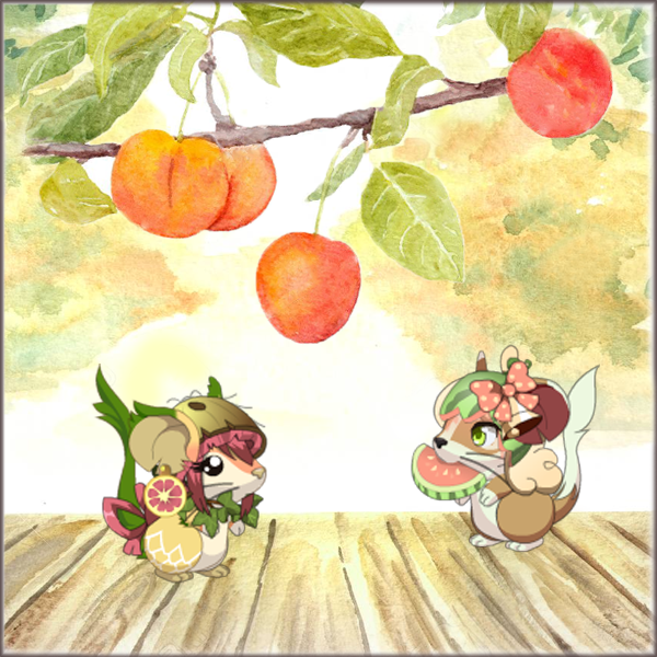 Transformice tweet media