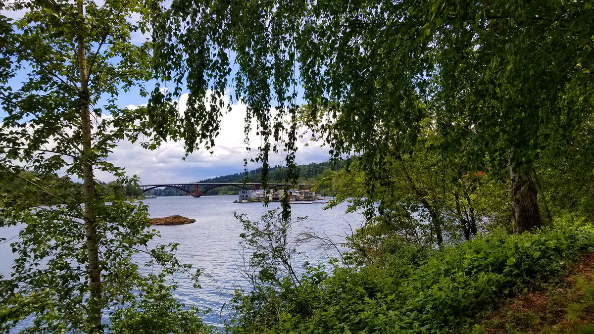 HartCrowser's tweet photo. We hope you enjoy this view from Willamette Park, next to Hart Crowser's Portland office. 
#engineeringlife #geologylife #worldofengineering #environmental #environment #sustainability #green #willametteriver https://t.co/YSivB0GvyL