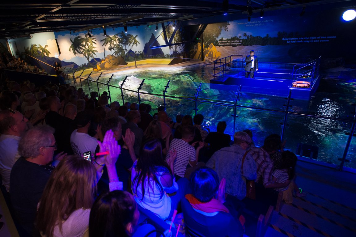 SEALIFEBrighton's tweet photo. We unveiled our NEW #DayandNight ocean experience to our VIP guests,featuring The UK's largest collection of Sharks &amp; Rays under one roof! Also Lulu &amp; Gulliver are back together!💚Come along and see for yourself tomorrow from 10am, we'll have some special surprises too! https://t.co/1n6e5LFq8O