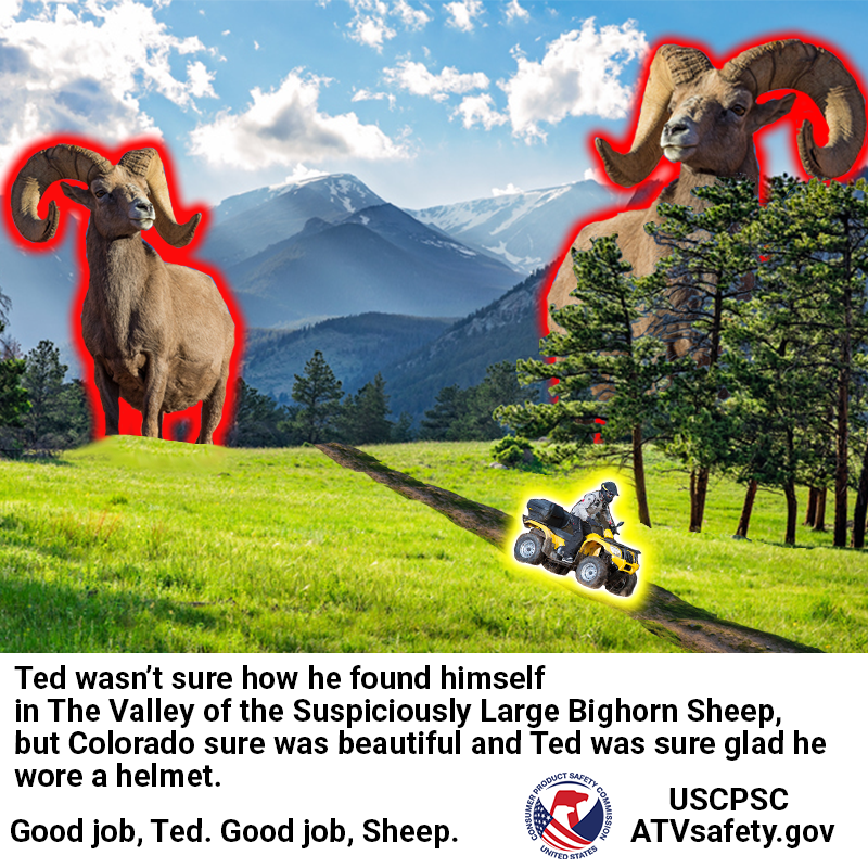 Two giant sheep the size of houses in a field. A man on an ATV drives between them. The text reads: Ted wasn't sure how he found himself in the valley of the suspiciously large big horn sheep but colorado sure was beautiful and ted was sureglad he wore a helmet. Good job, Ted. Good job, Sheep.