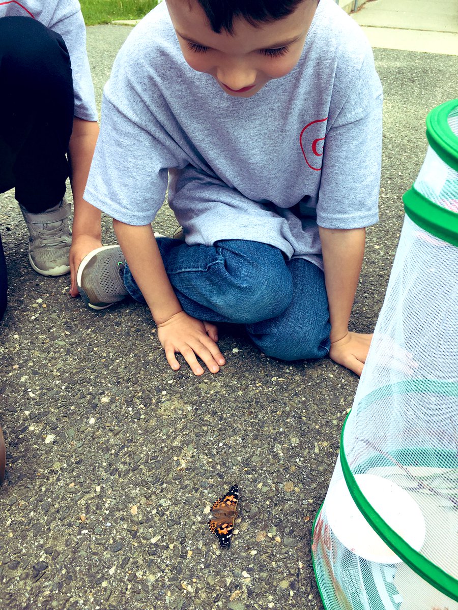 MsStocker2's tweet image. The day has come! Our butterflies were set free! The kiddos giggled with delight as our new friends spread their wings 🦋 @TraKeilty
