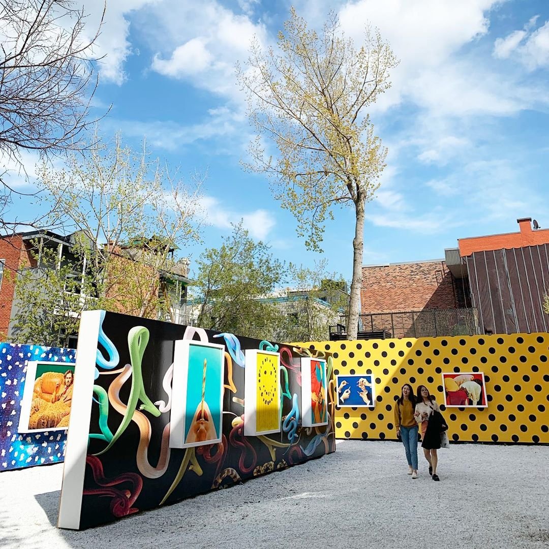 Montreal's tweet image. Today, let's take a stroll through #GalerieBlanc to discover the works of #ToiletPaperMagazine 🎨 🧡💛💜
📷 mademoiselle_montreal  bit.ly/2EvWA39 #MTLmoments