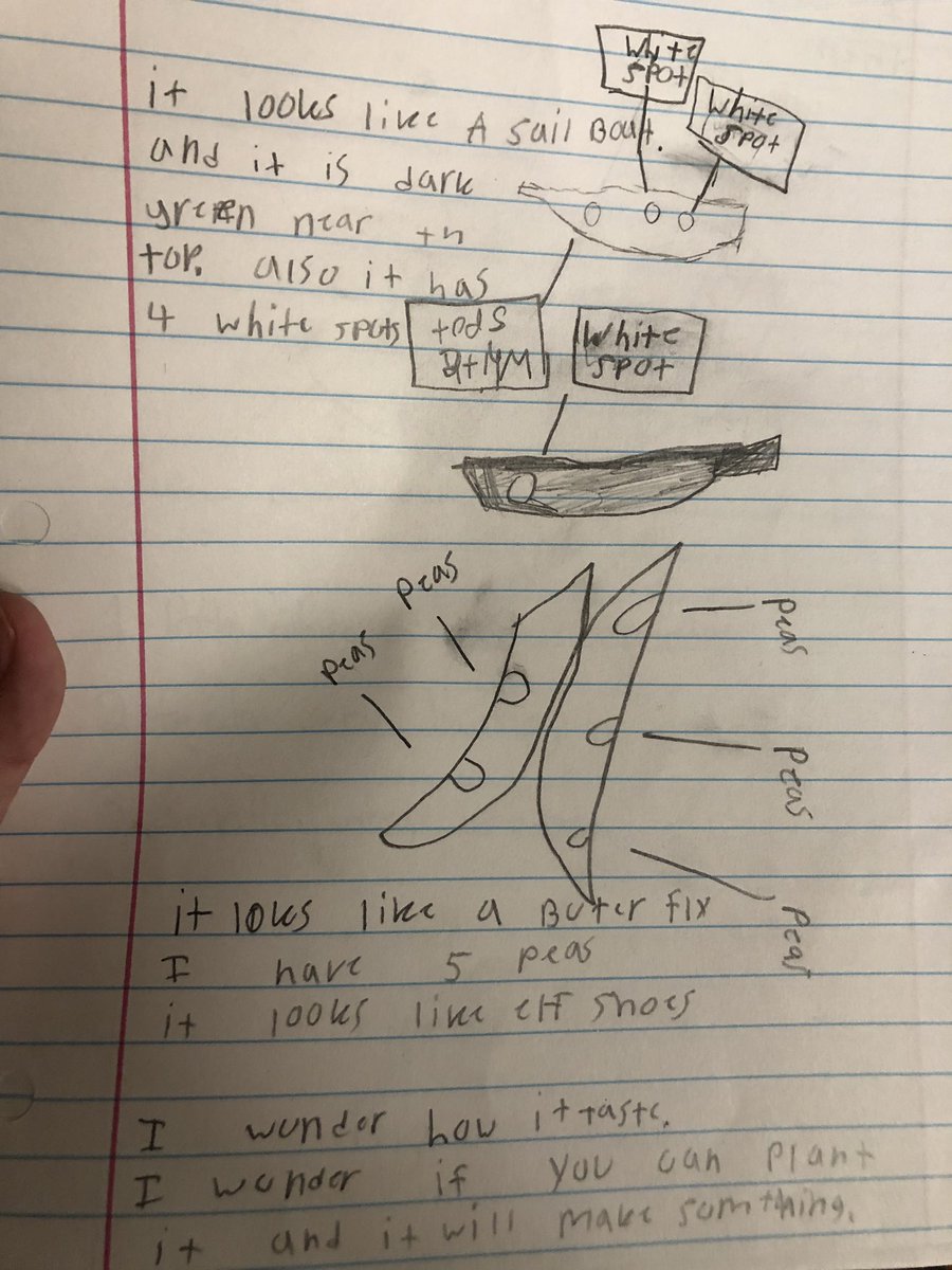 Great work from this student! Documenting what she sees, what it looks like, questions she wonders. #3rdgrade #scienceliteracy #WhosGotItBetterThanWES