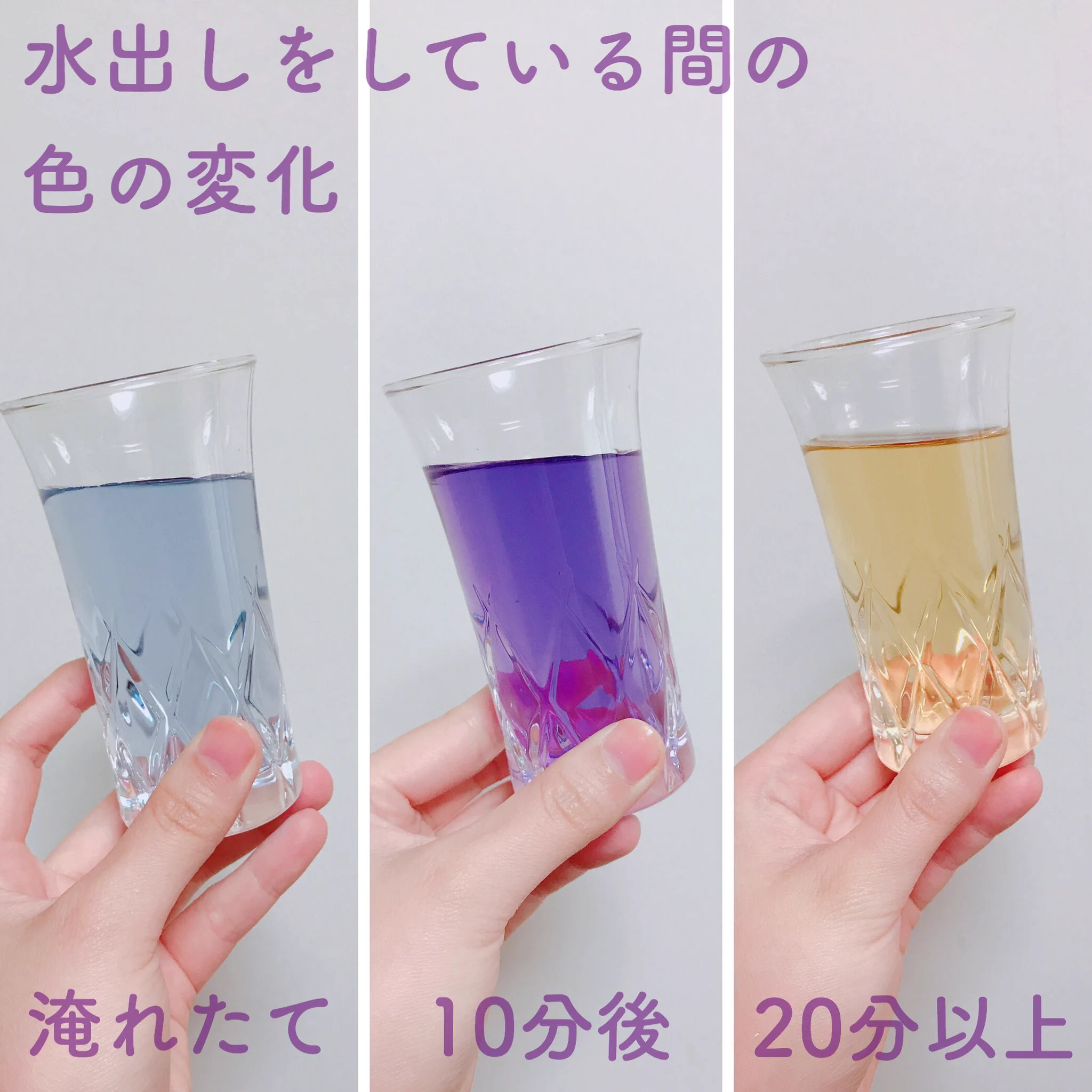 エトワールブルー。色も名前もきれいです。ノンカフェインなのも魅力的。