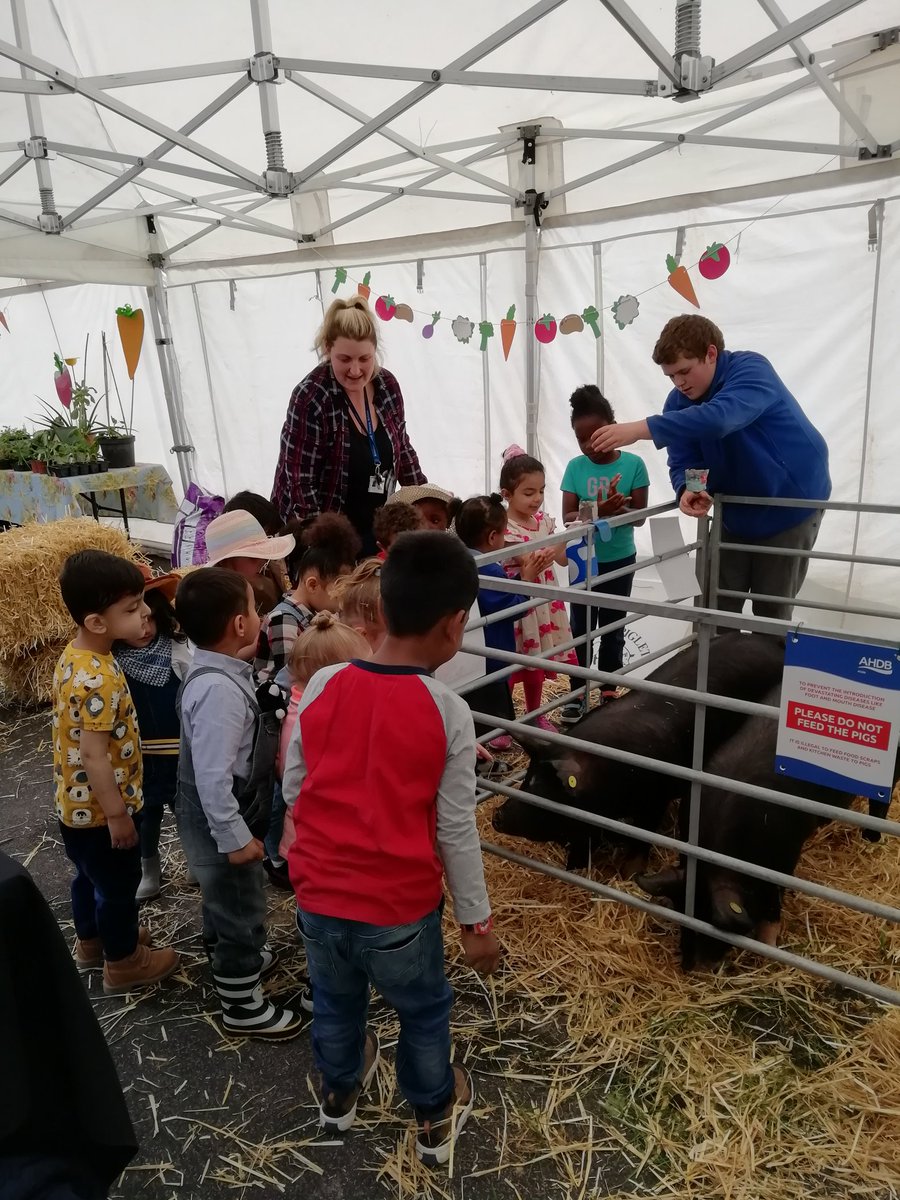 Fabulous day <a href="/ArmitagePrimary/">Armitage Primary</a> yesterday. Well done Hayden and team on such a successful day. Amazing children. Thank you for having junior pig club, can't believe the pigs behaved so well.😃