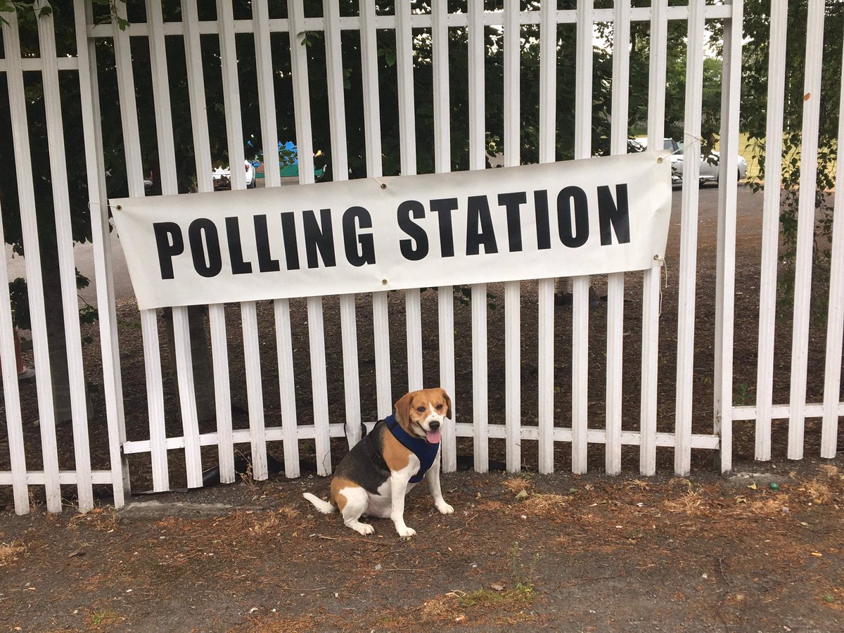 Cllr Anne Campbell tweet media