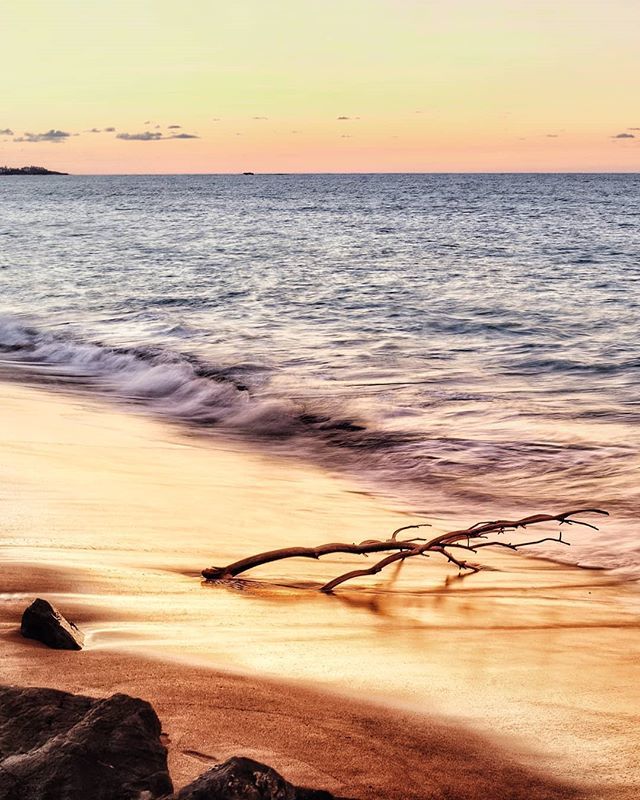 imchromatik's tweet photo. Pastel Sunset
.
.
.
.
.
.
.
.
.
.
.
#sunset #sunset_lovers #nature #landscape #naturephotography #beach #amazing #puertorico_greatshots #puertoricogram #naturelovers #explore #backpakingpr #placespr #thatprlife #prbackpakers #soydeaquipr #whateverpr #ruteandomiisla #whatever… https://t.co/WJCXhVYF3e