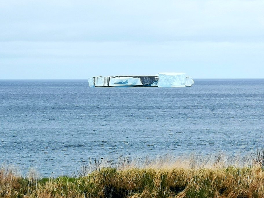 IcebergTweets's tweet photo. Check out this big berg hanging out in Ochre Pit Cove. Thanks James @SaltySeasCtgs for sharing. #icebergsnl #explorenl https://t.co/JV4DrobJvU
