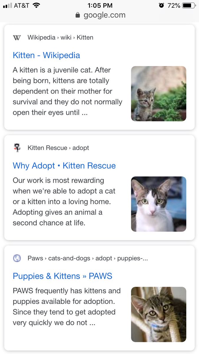 loverly_ness's tweet photo. Anyone else HATE the new #Google search results?! They all look like ads to me now and I fucking hate it!!! Don’t train us for YEARS to see ads in boxes, to now make every search result in a box... 🔪😒#hategoogle #googlesearch #whytho #annoyed https://t.co/x75bLWm133