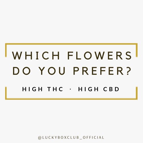 We want to know!!! For us, it's CBD all day until the fun begins! Then bring on that THC BABY! ⁣
⁣
#luckyboxclub #club #subscriptionbox #highsociety #flowers #cannabis #cbd #thc #hybrid #sativa #indica #happiness #subscriptionaddiction #wellness #herbal #joy #health #alt