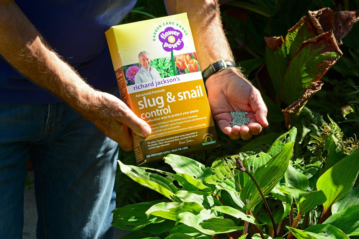RJGarden's tweet photo. There are two chances to see @richardqvc on bank holiday MONDAY on @qvcuk. He's on at 9am with @mr_plantgeek @chloeeverton and 12 noon with @clairesuttonqvc. Look out for great offers on #EasyFeed & the amazing organic #Slug&SnailControl. https://t.co/QCUTiCGCzg