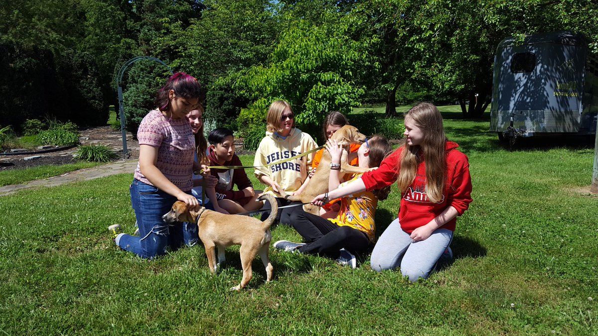 marisellapappas's tweet photo. Warrenton Middle National Junior Art Honor Society presented $300 to the Fauquier SPCA today, from monies raised from the sale of original art buttons they made. We had fun playing with the dogs. They are up for adoption. #Warrenton_Middle #NJAHS #FauquierSPCA #FCPS1ART https://t.co/Scj8rJGhpF