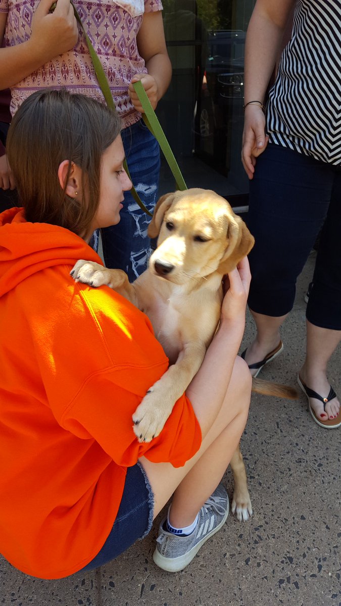 marisellapappas's tweet photo. Warrenton Middle National Junior Art Honor Society presented $300 to the Fauquier SPCA today, from monies raised from the sale of original art buttons they made. We had fun playing with the dogs. They are up for adoption. #Warrenton_Middle #NJAHS #FauquierSPCA #FCPS1ART https://t.co/Scj8rJGhpF