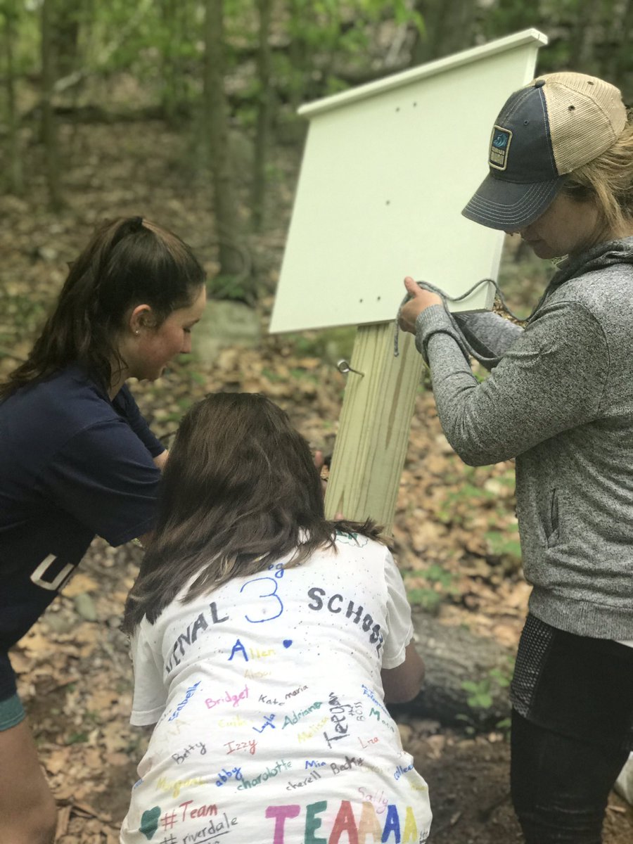 abbott22's tweet photo. Wow!! What a day! I am so proud of this group of fifth graders as they truly have felt what it means to give back to their community! Building a story walk for all to enjoy! #teamwork #vinalcommunity #vinalrocks https://t.co/i3Mr39U43w